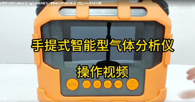 手提式多功效气体剖析仪 PTM600-S-10